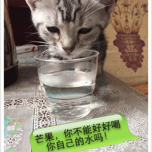 罗马林达大学成绩单修改